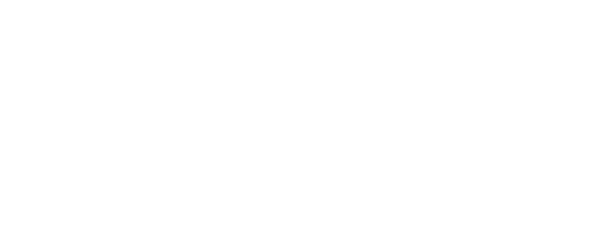 The Seva Foundation